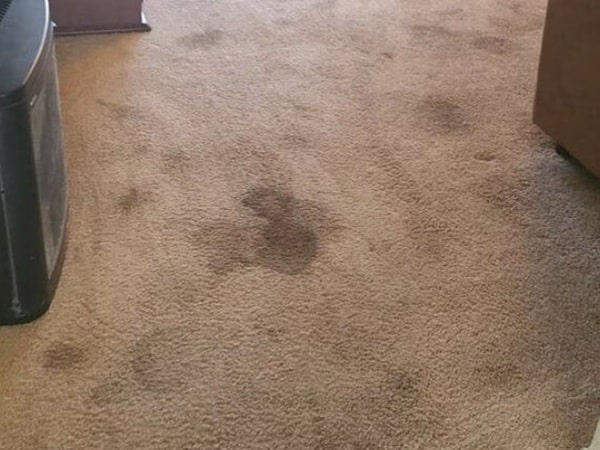 end of lease cleaning lara